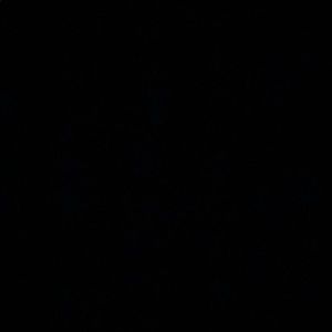 Meet your Posher, Raven